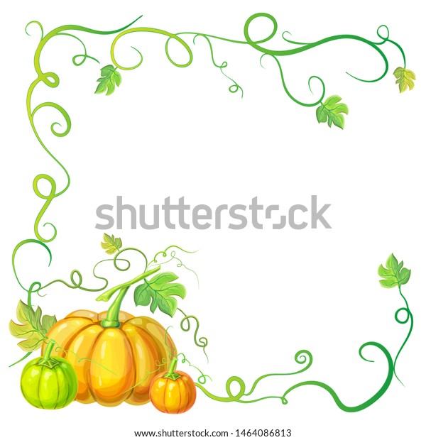 Autumn Frame Pumpkins Vines Leaves Place Stock Vector (Royalty Free ...