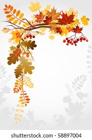 Autumn Frame With Space For Text