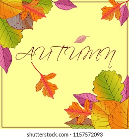 Autumn frame with tree leaves on yellow background, text, design elements for fall season banner, poster or thanksgiving greeting card, vector illustration