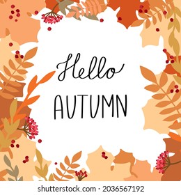 autumn frame with words hello autumn.