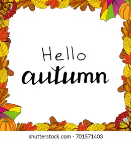 Autumn frame. Yellow leaves, red maple leaves, brown oak leaves, acorns, pumpkin, colorful umbrella and mountain ash on a white background. Lettering Hello Autumn. Hand drawing. Vector illustration.