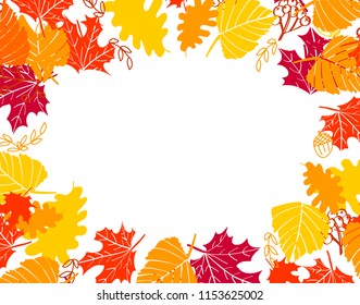 Autumn frame from yellow, orange, red leaves. Seasonal background on white. Vector illustration for banner, poster, leaflet, card.
