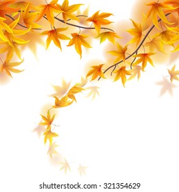 Autumn fronds with falling maple leaves on white background