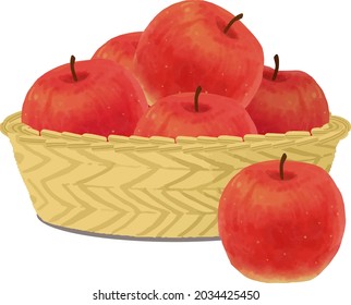 Autumn fruit apple in basket vector illustration