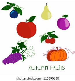 autumn fruit outline vector illustration