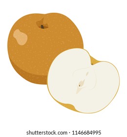 Autumn fruit pears (nashi) illustration,