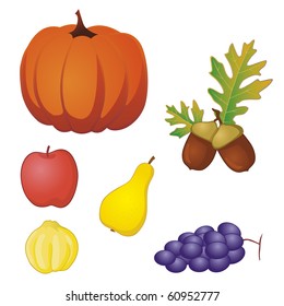 autumn fruit and vegetables vector illustration