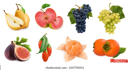 Autumn fruits and berries. Pear, pink apple, white sweet grape and wine grape, fig, goji berry, persimmon fruit. 3d realistic vector set