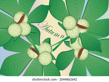 Autumn and its fruits. Chestnut leaves background with chestnuts. Autumnal background. 