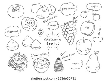 Autumn fruits hand drawn illustration set