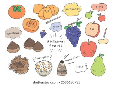 Autumn fruits hand drawn illustration set