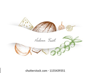 Autumn Fruits, Illustration Hand Drawn Sketch of Camu Camu or Cacari, Muskmelon, Cantaloupe, Mushmelon, Rockmelon, Sweet Melon or Spanspek and Watermelon or Citrullus Lanatus.