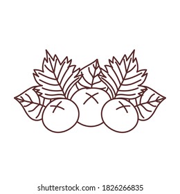 autumn fruits leaves foliage nature isolated icon design vector illustration line style