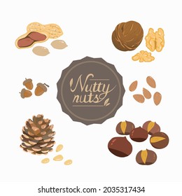 Autumn fruits and nuts - walnuts, pine nuts, acorns, chestnuts, almonds, peanuts