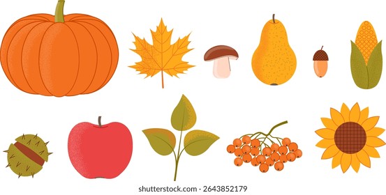 Autumn fruits and plants set. Vector illustration.