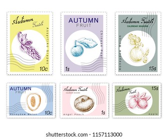 Autumn Fruits, Post Stamps Set of Hand Drawn Sketch Assyrtiko Grape, Nashi Pear or Chinese Pear, Honeydew Melon, Apple and Angel Peach in Trendy Origami Deep Paper Art Carving Style. 