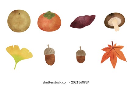 Autumn fruits and vegetables, leaves and acorns. Watercolor style vector set.