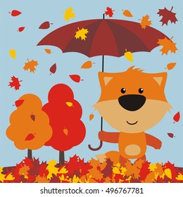 Autumn. Funny fox under an umbrella on background of falling leaves cartoon style.
