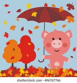 Autumn. Funny pig under an umbrella on background of falling leaves cartoon style.