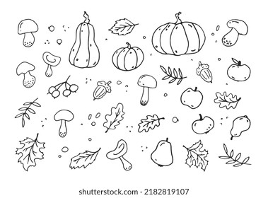 Autumn funny set hand-drawn. Vector black and white doodle-style elements with maple and oak leaves, acorns, pumpkin, apples, mushrooms. The illustration is isolated on a white background.