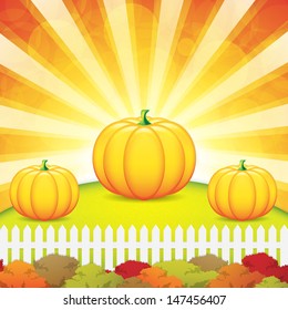 Autumn garden with pumpkins.Vector