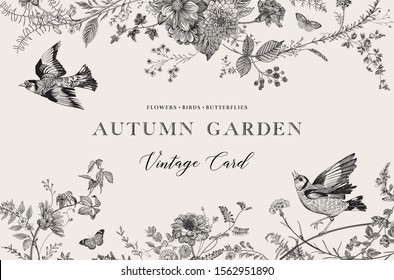 Autumn Garden. Vector Horizontal Card. Flowers, Birds, Butterflies In Black And White