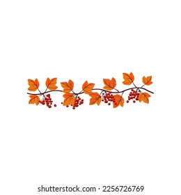 Autumn garland with maple leaves and rowanberries. Vector illustration of fall garland. Cartoon garland with leaves and berries isolated on white. Thanksgiving decor concept