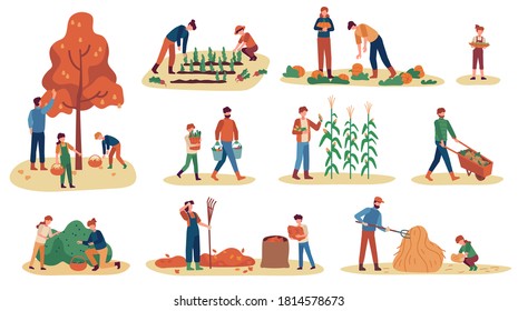 Autumn gathering. Men, women and children collecting fruits, vegetables and berries. Stacking hay, working harvest season vector set. Illustration collecting harvest autumn, agriculture harvesting