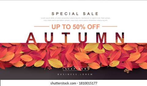 Autumn Gift promotion Coupon banner background. Elegant Autumn Voucher Design.  - Shutterstock ID 1810015177