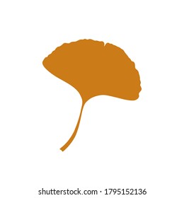Autumn Ginkgo or Gingko Biloba leaf. Nature botanical vector illustration, herbal medicine graphic isolated over white.