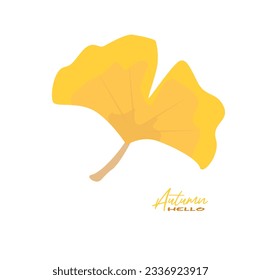 Autumn ginkgo leaves vector illustration.  Autumn  leaves design template for decoration, sale banner, advertisement, greeting card and media content. Autumn concept. Flat vector isolated on white.