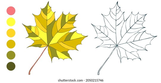 Autumn gold maple leaf coloring sheet with a color palette. Cartoon flat style vector illustration.