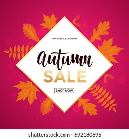 Autumn gold sale poster or September shopping promo banner for autumnal 50% discount. Vector maple and oak acorn leaf foliage and discount text design for shop poster, leaflet or web banner.