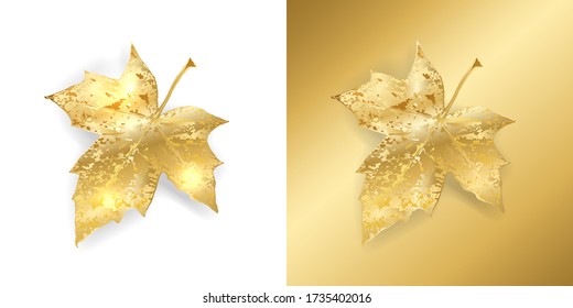 Autumn Golden Color Leaf On White And Gold Background. Autumnal Maple Marble Texture Leaves With Shadow. Vector Fall Illustration