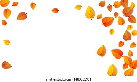 Autumn golden leaf frame. Maple fallen leaves isolated on white. October yellow foliage and autumnal nature leafage. Advertising gold fall leaf horizontal background. Vector illustration