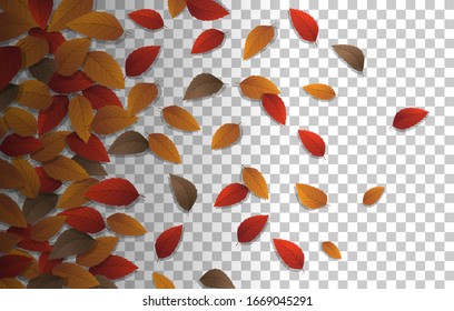 	
Autumn golden leaf frame template. Tree fallen autumn leaves isolated on white. October yellow foliage and autumnal nature leafage. Advertising autumn gold fall leaf with transparent background.
