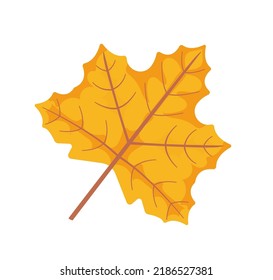 Autumn golden leaf object clapart. Stock vector illustration isolated on wgite background