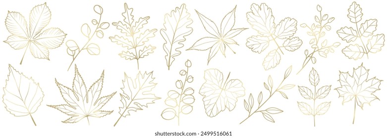 Autumn golden leaves and branches in line art style. Set of vector botanical plant engraving elements for background, wallpaper, card, pattern, print