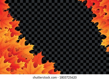 Autumn golden maple leaves corner frame. Red, orange, yellow foliage. Transparent background. Vector illustration.