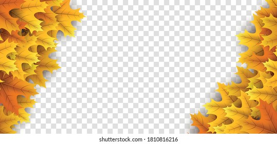 Autumn golden maple leaves corner frame. Orange, yellow foliage. Transparent background. Vector illustration.