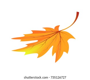 Autumn golden yellow leaf icon isolated on white background. Vector illustration with fallen orange maple folio with long darkened tail