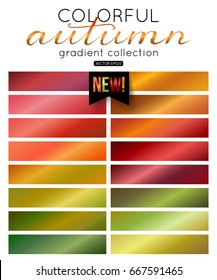 Autumn gradient collection  Color palette  Blurred background  pattern  wallpaper  texture  vector illustration 