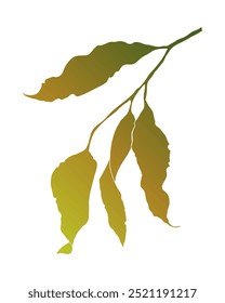 Autumn gradient leaves on slender branch, isolated on white background.