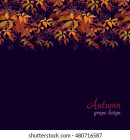 Autumn grape vine border design. Wilde grape with red orange leaves and berries. Horizontal design on dark background. Colorful autumn or fall banner template. Vector illustration stock vector.