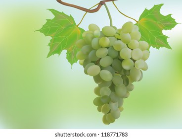 Autumn, grapes, postcard.