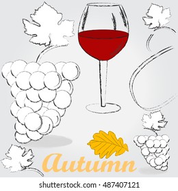 Autumn . Grapes . Wine .