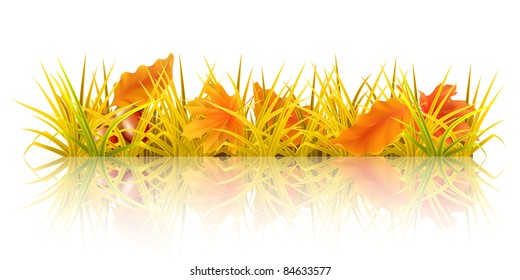 Autumn Grass, 10 Eps