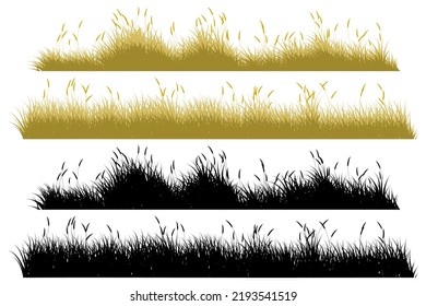 autumn grass. brown reeds grass