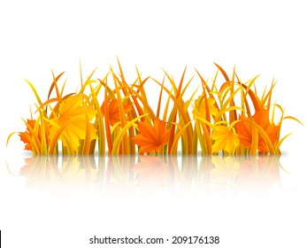 Autumn grass and fallen maple leaves.