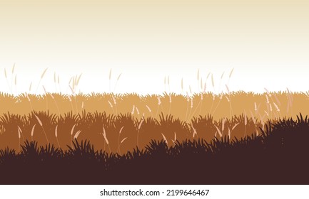 Autumn Grass Field. Brown Dry Grassland